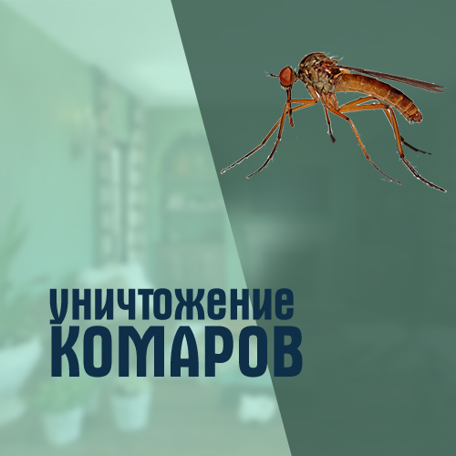 уничтожение комаров