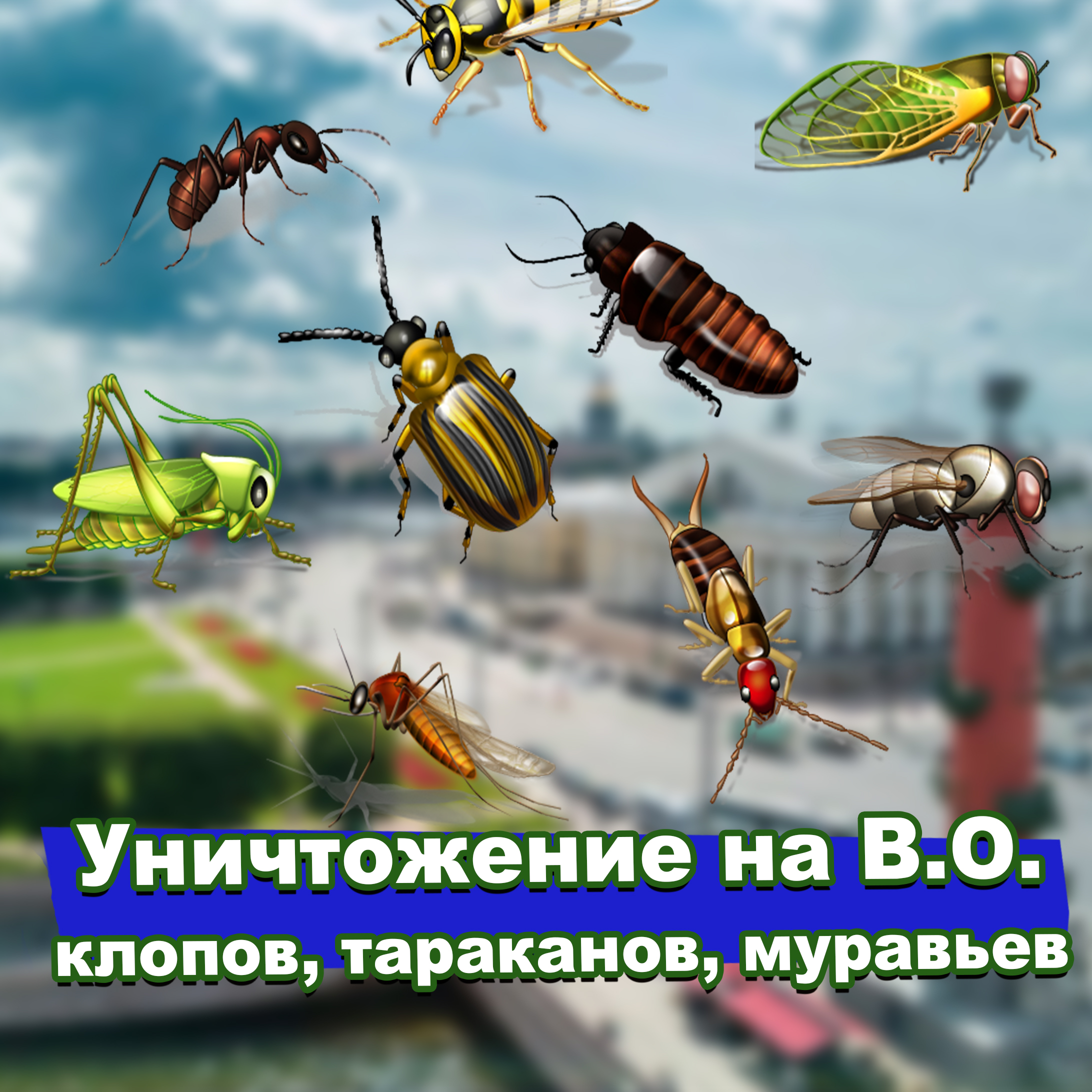уничтожение клопов тараканов муравьев на Васильевском острове